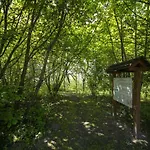 Toereki 34 Vendeghaz Apartmán Siófok