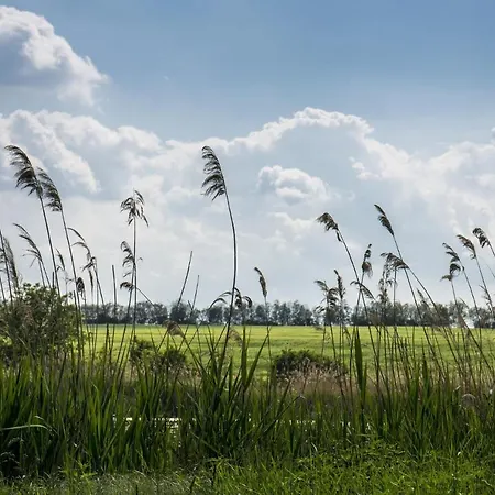 Apartment Toereki 34 Vendeghaz Siófok