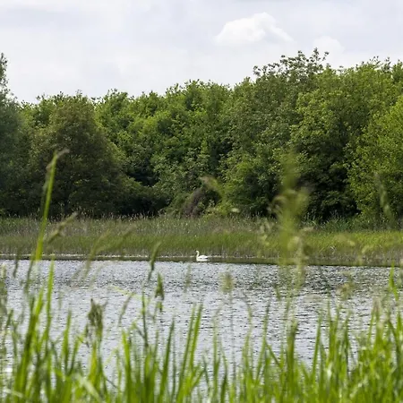 Toereki 34 Vendeghaz *