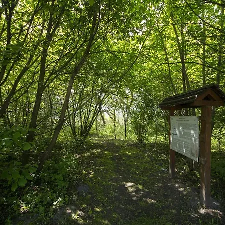 Toereki 34 Vendeghaz Appartement Siófok