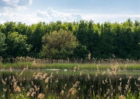 Toereki 34 Vendeghaz *