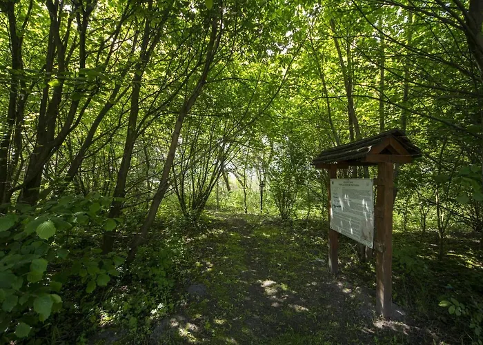 Toereki 34 Vendeghaz Appartement Siófok